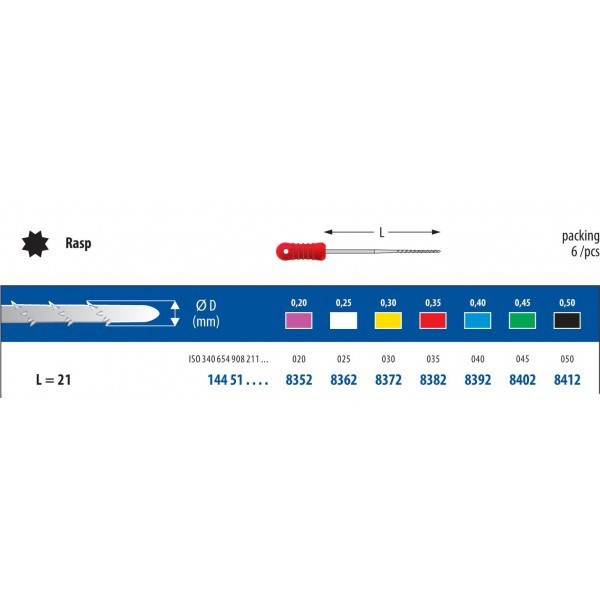 Rasp fine needle L21